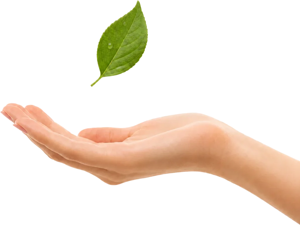 Mano sosteniendo una hoja verde, cuidado de la naturaleza en Fundación Ser Naturaleza