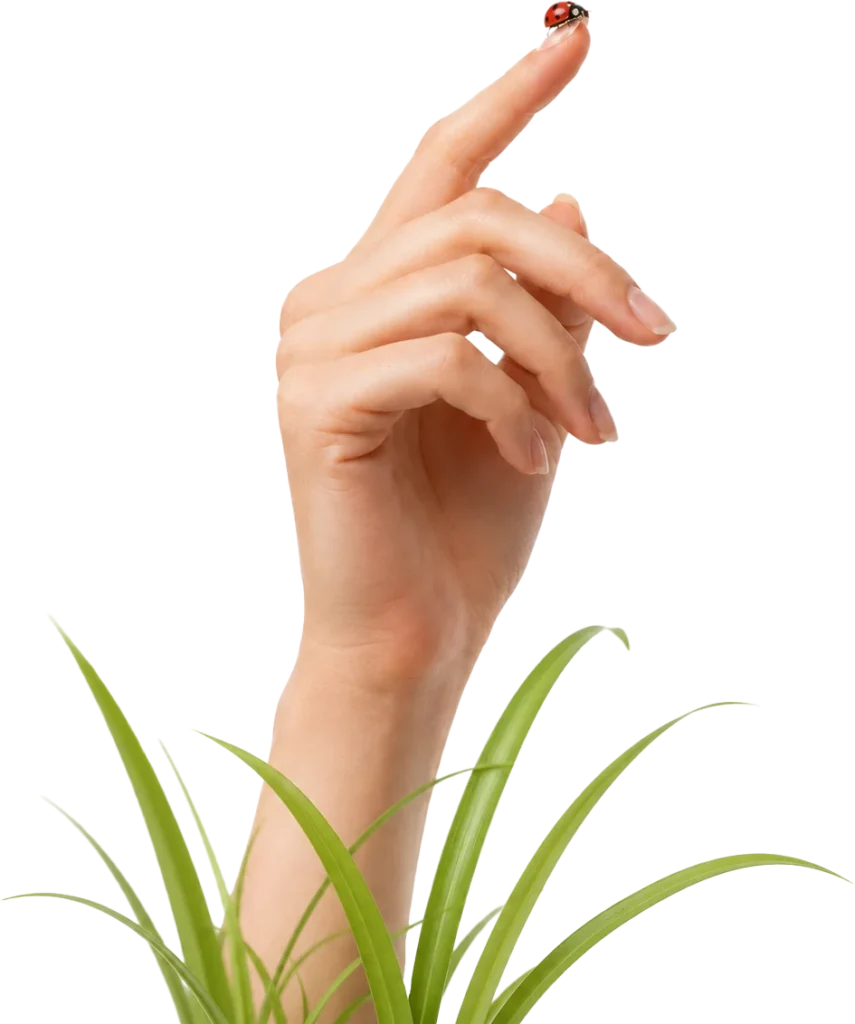 Mano rozando el pasto verde, contacto directo con la tierra en Fundación Ser Naturaleza