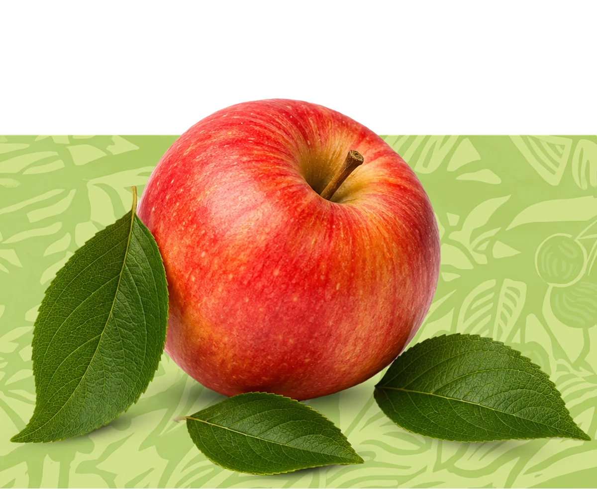 Manzana con hojas sobre textura – Fundación SerNaturaleza